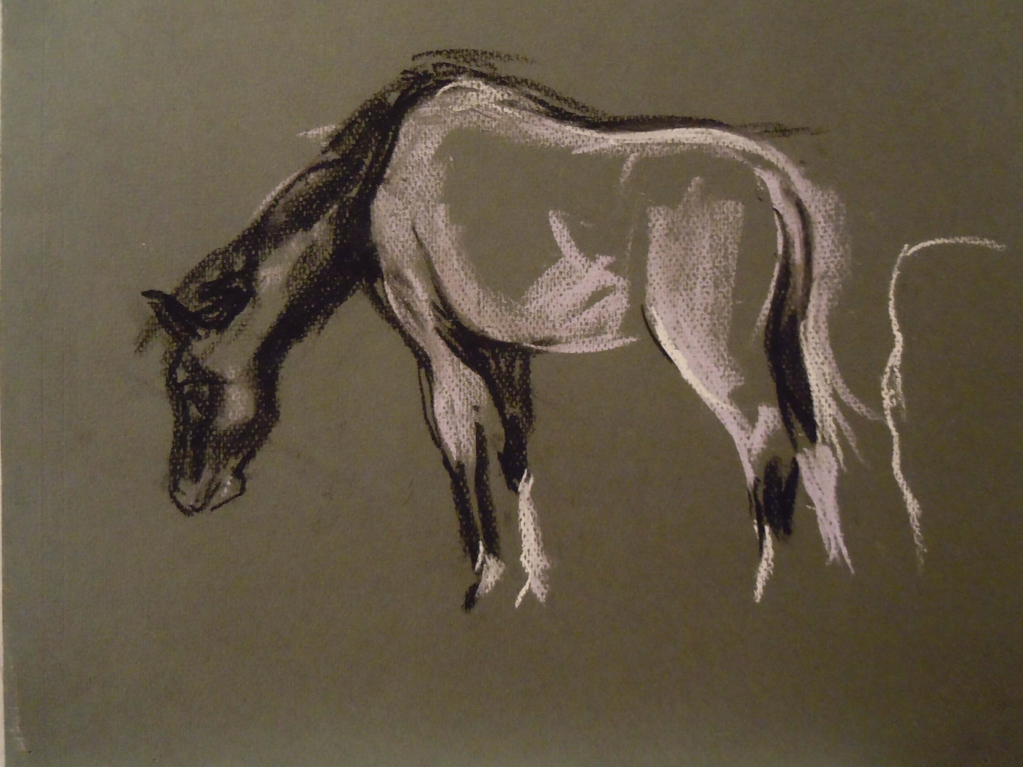 white and grey horse left pastel William Lonsdale artist